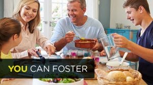 you can foster